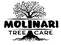 MOLINARI TREE CARE